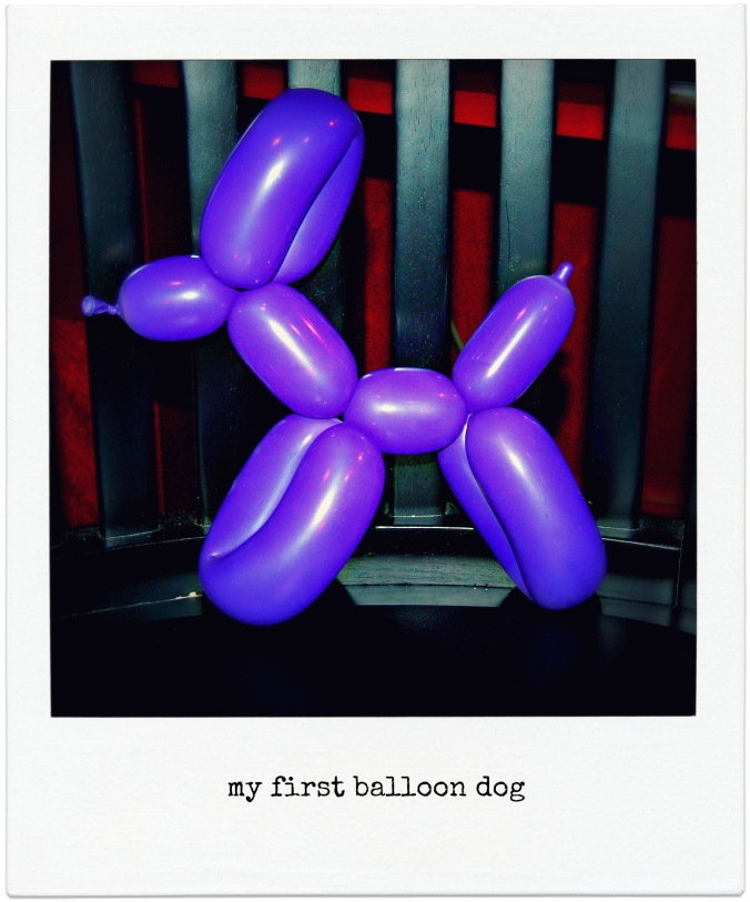 1st balloon dog pm